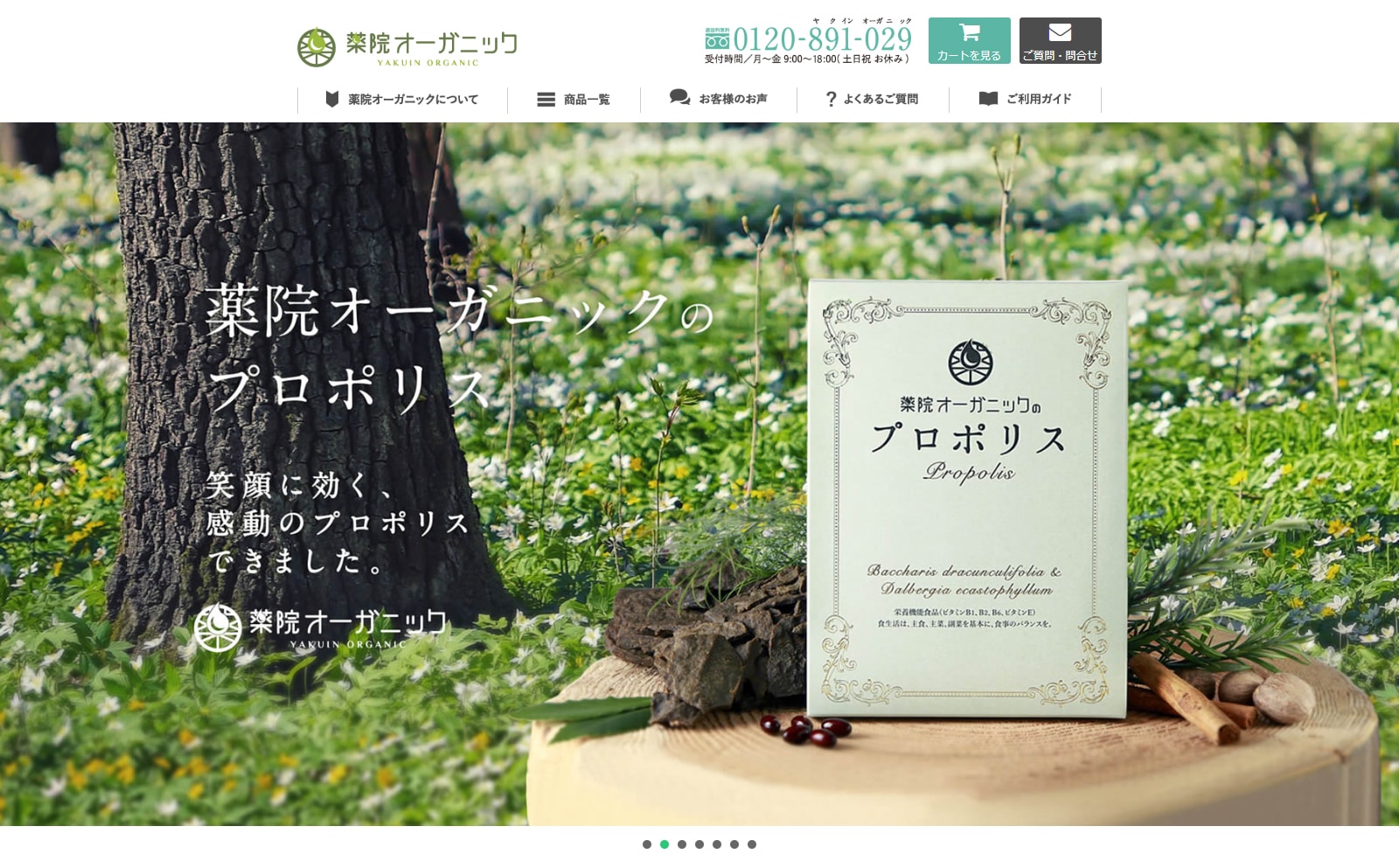 WEBサイトの画像